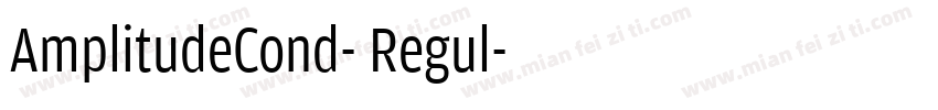 AmplitudeCond- Regul字体转换